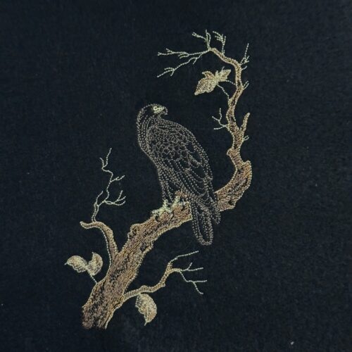 Eagle On Tree Branch