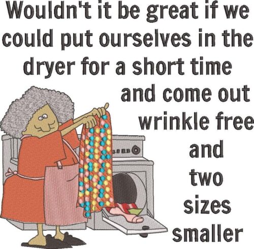 Put Ourselves In The Dryer Funny Quote