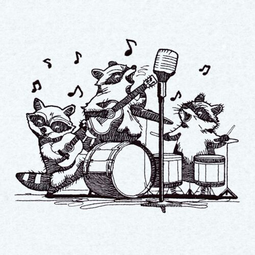 Raccoon Music Band