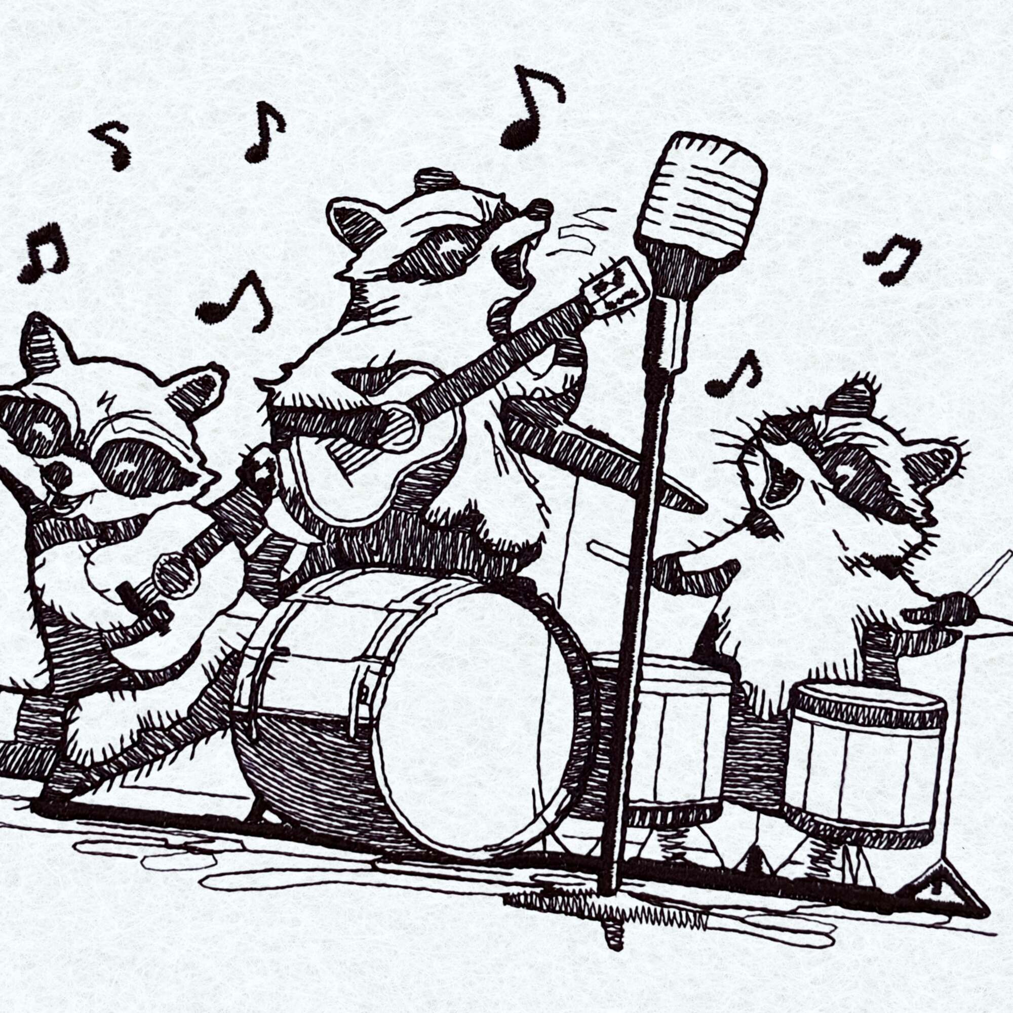 Raccoon Music Band - Image 2