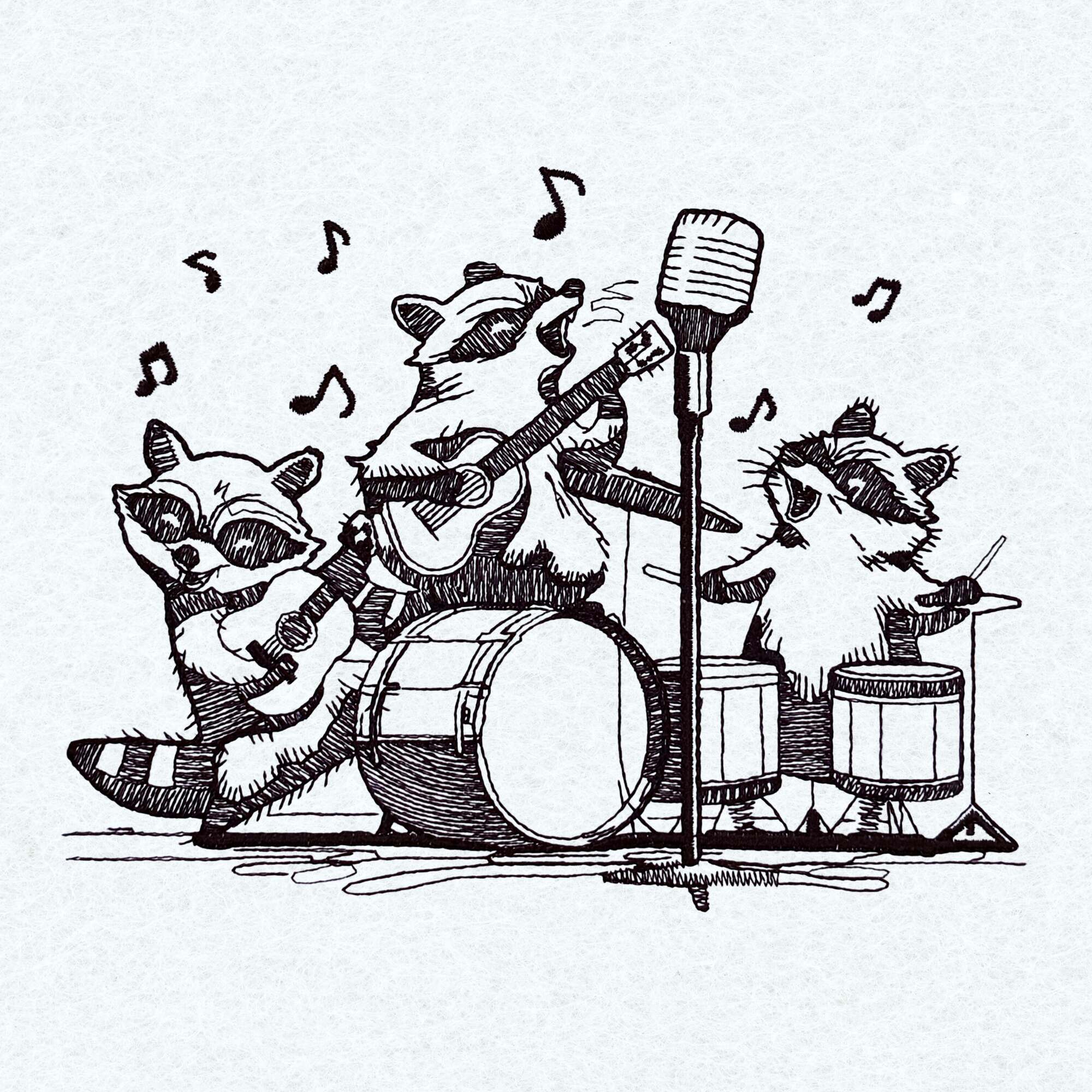Raccoon Music Band
