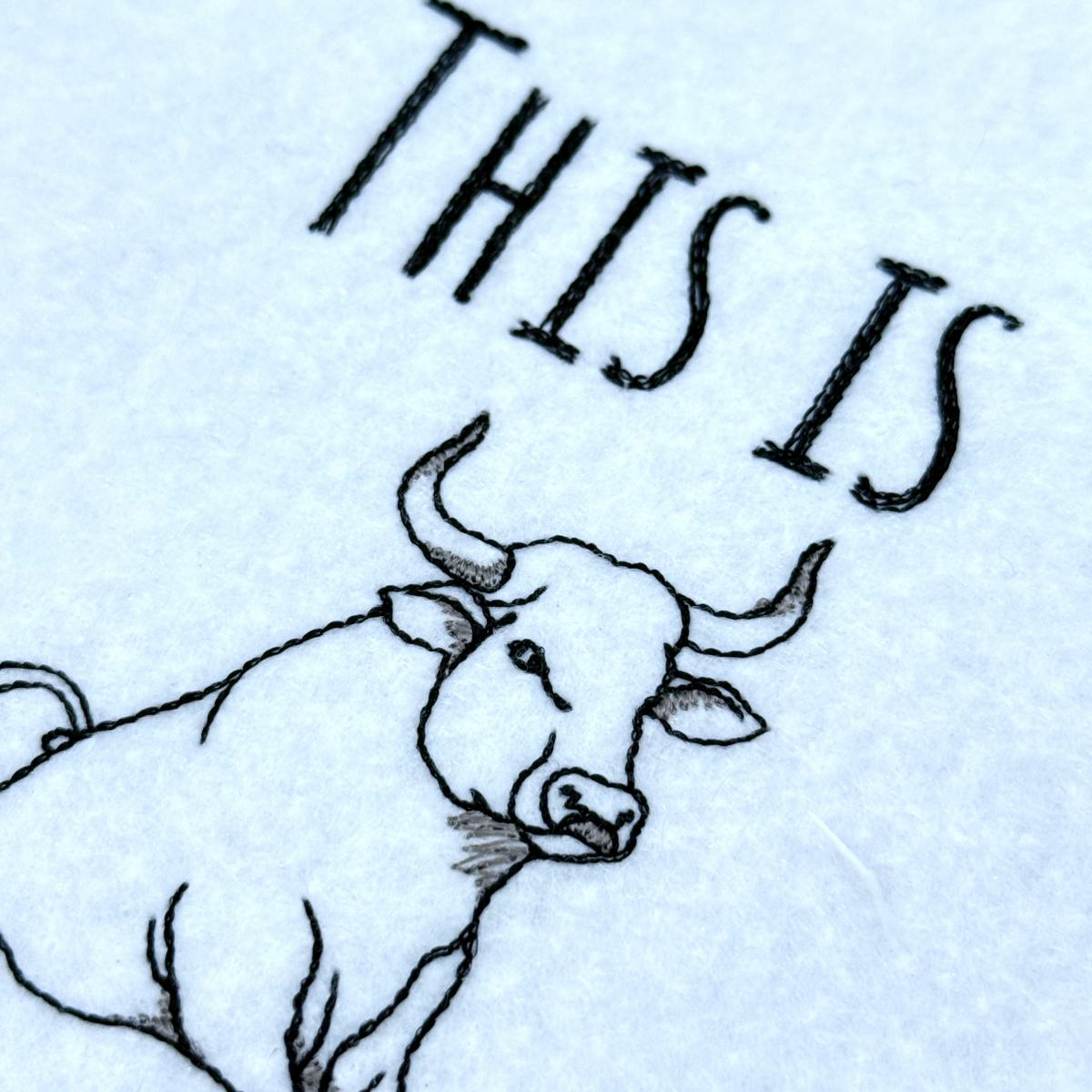 this-is-bullshit-witty-toilet-quote-embroidery-design