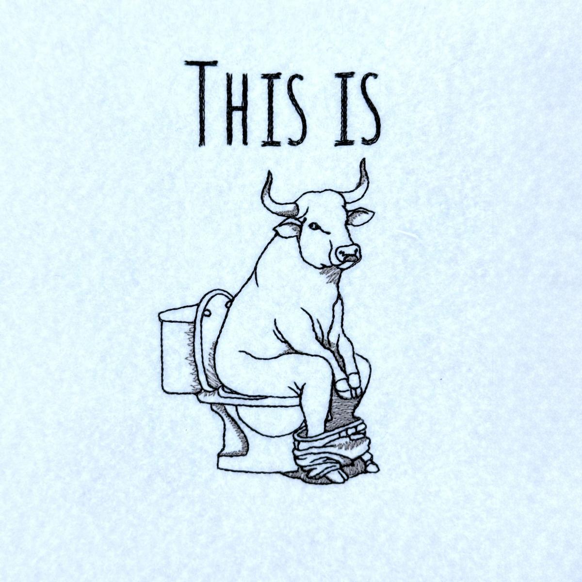 this-is-bullshit-witty-toilet-quote