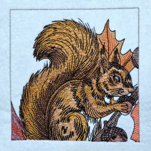 FE09596-01