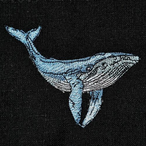 blue-whale