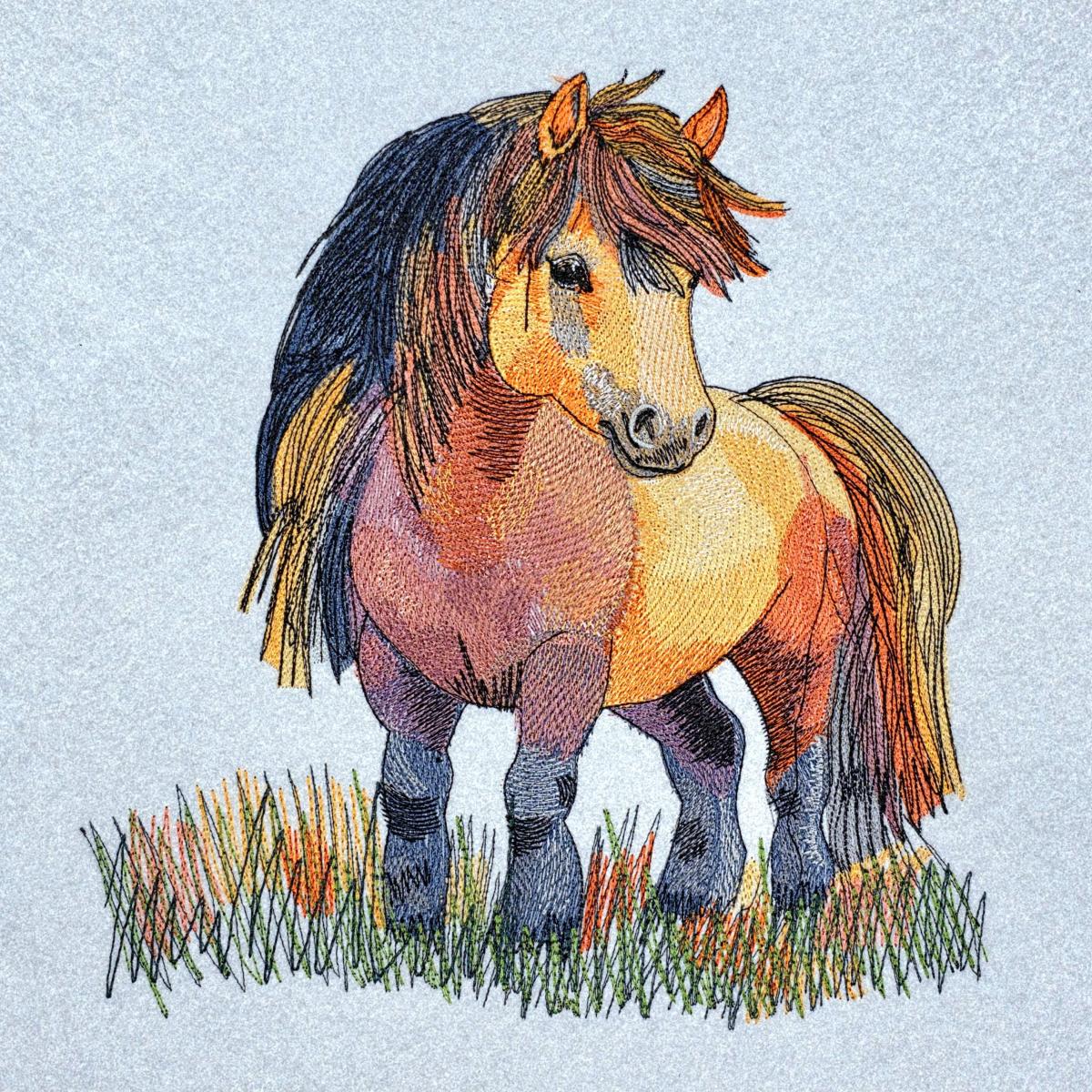 Country Pony Design