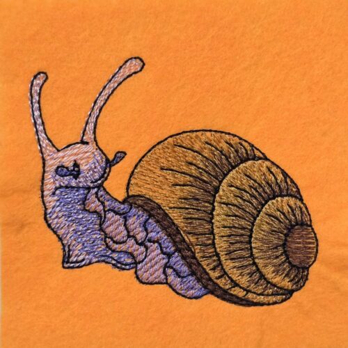cute-snail