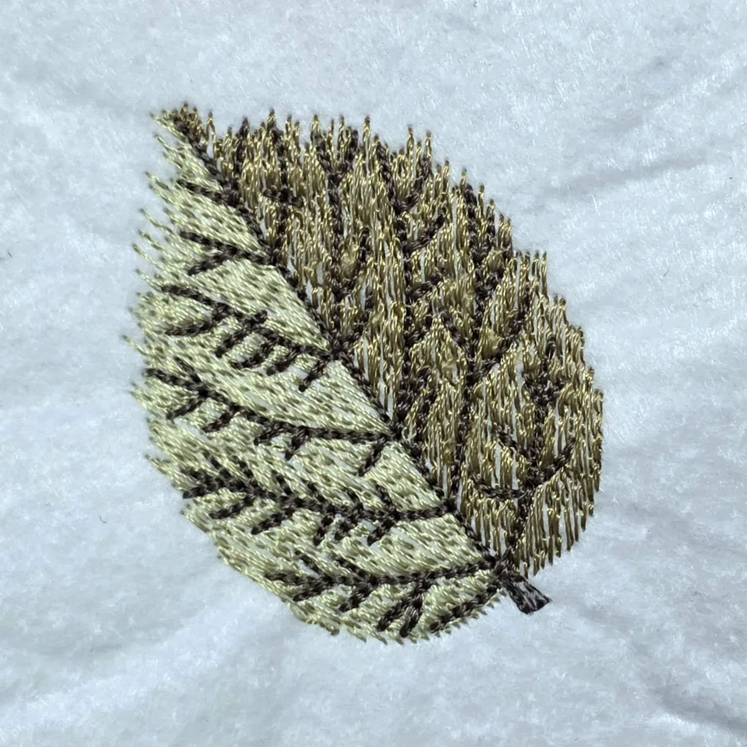 Green And Brown Textured Leaf