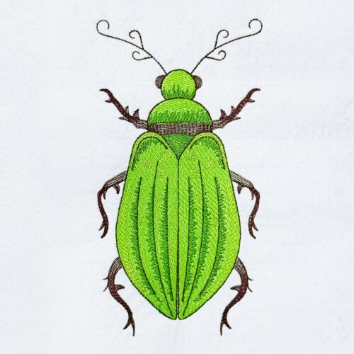 green-beetle-insect