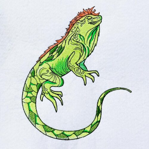 green-iguana-lizard