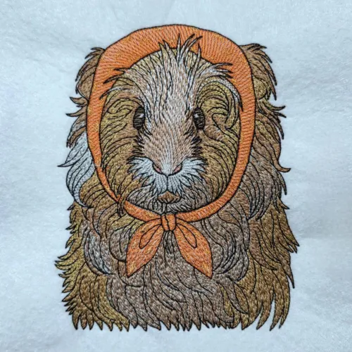 guinea-pig-in-red-hood