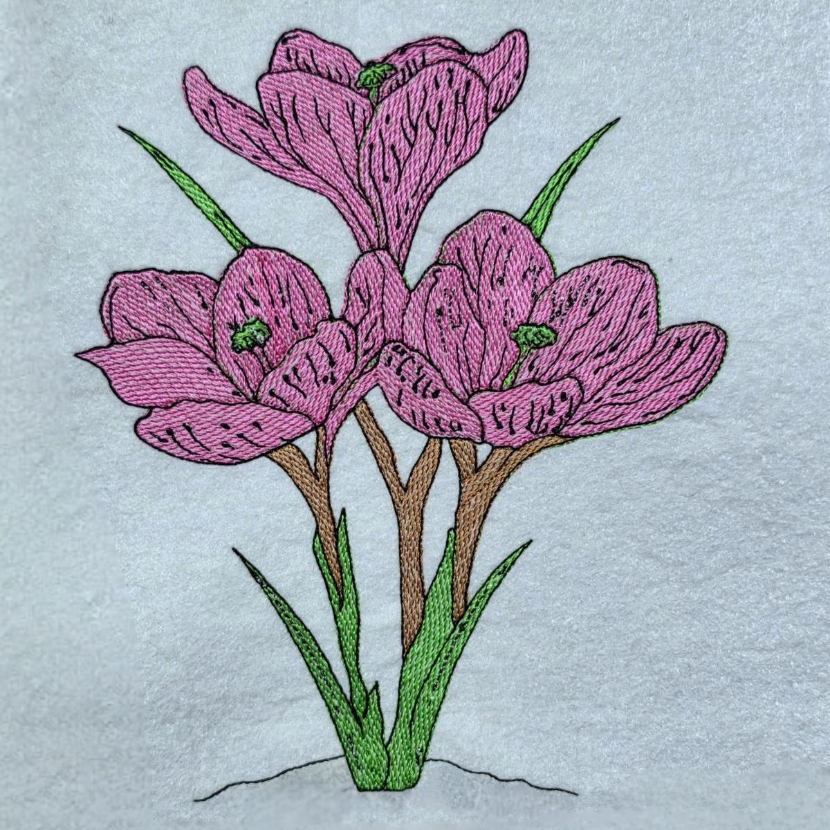 purple-crocus-flowers