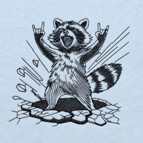 raccoon-on-rock