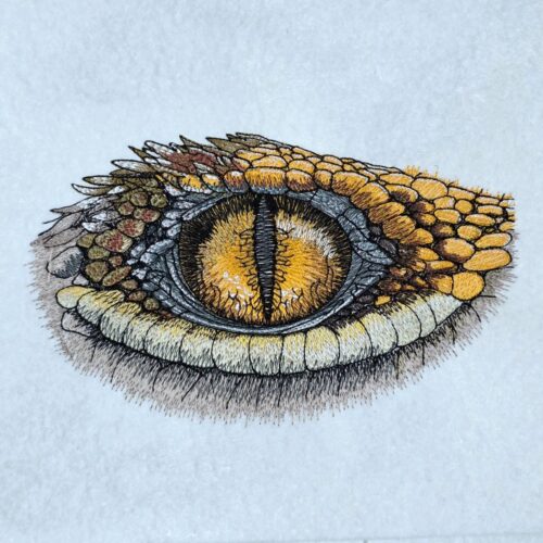 realistic-alligator-eye