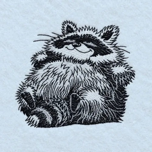 relaxed-fluffy-raccoon