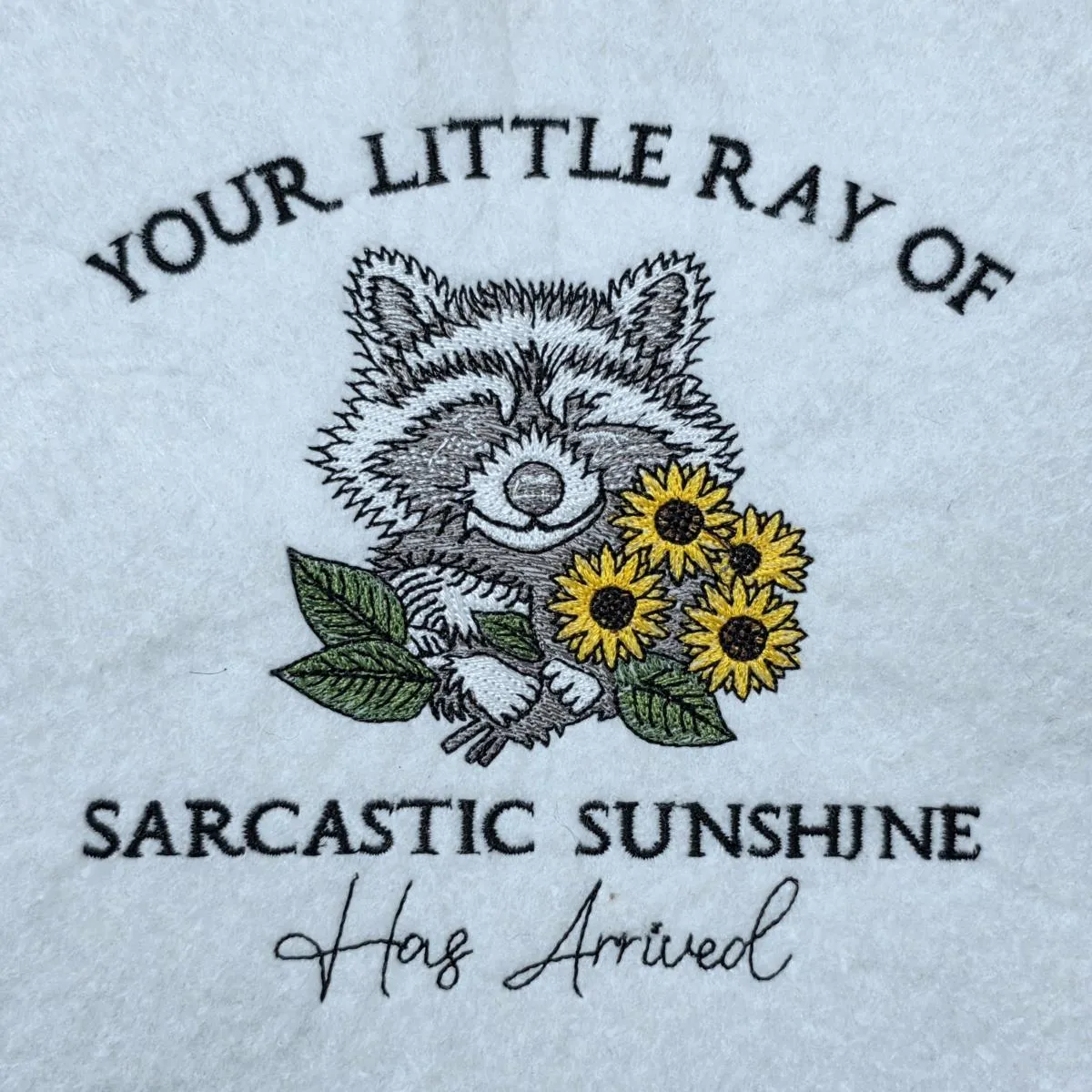 sarcastic-sunshine-raccoon