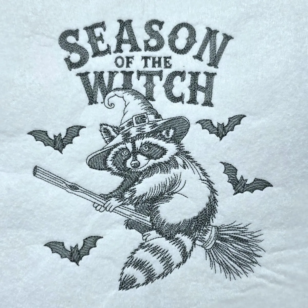 spooky-raccoon-on-a-broom